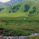 Nalati Grassland