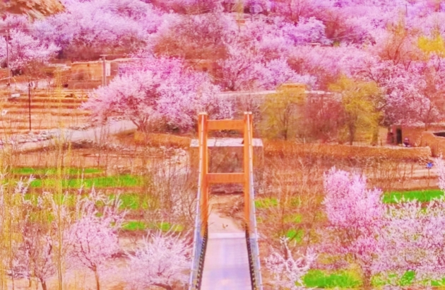 silk road kashgar spring