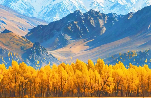 xinjiang atlai mountain autumn