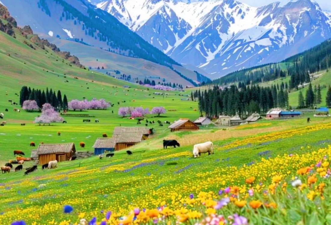 xinjiang summer scenery