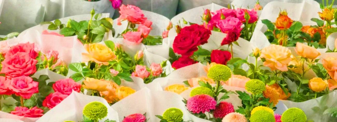 yunnan flower city