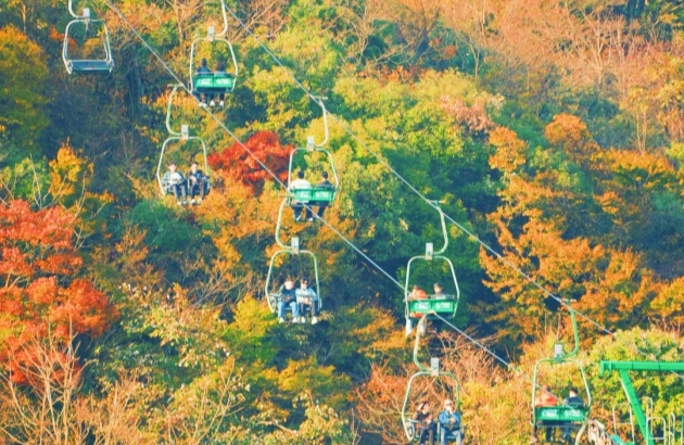 zhangjiajie cable car autumn