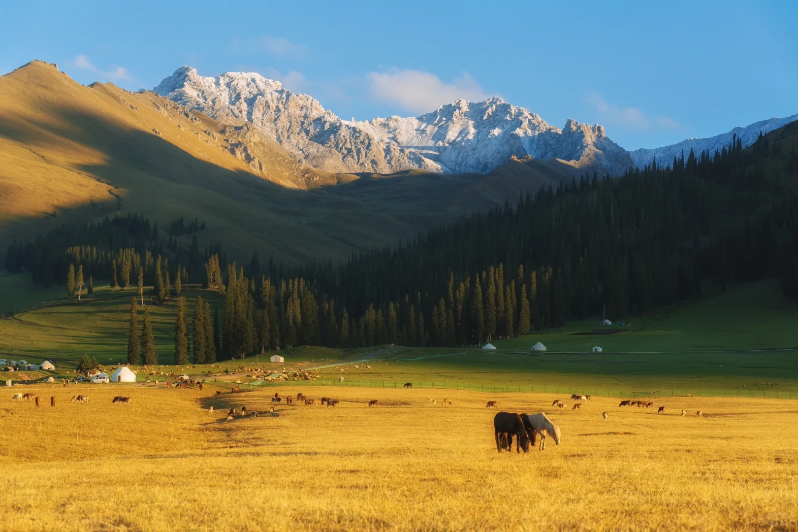 Nalati Grassland