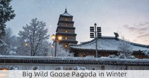 Big Wild Goose Pagoda in Winter