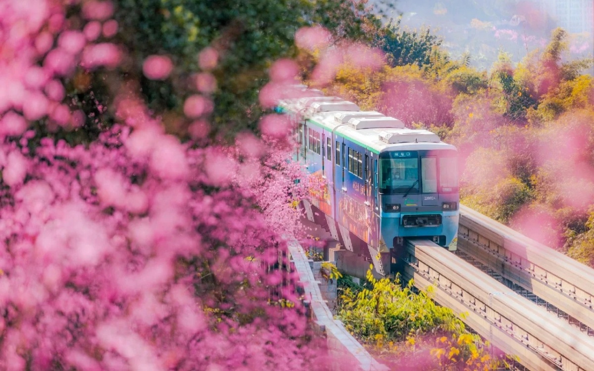 Chongqing in Spring