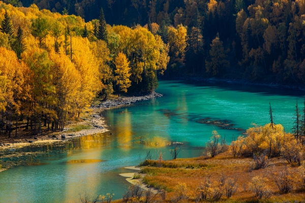 Kanas Lake in Autumn