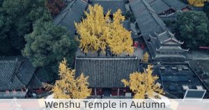 Wenshu Temple in Autumn