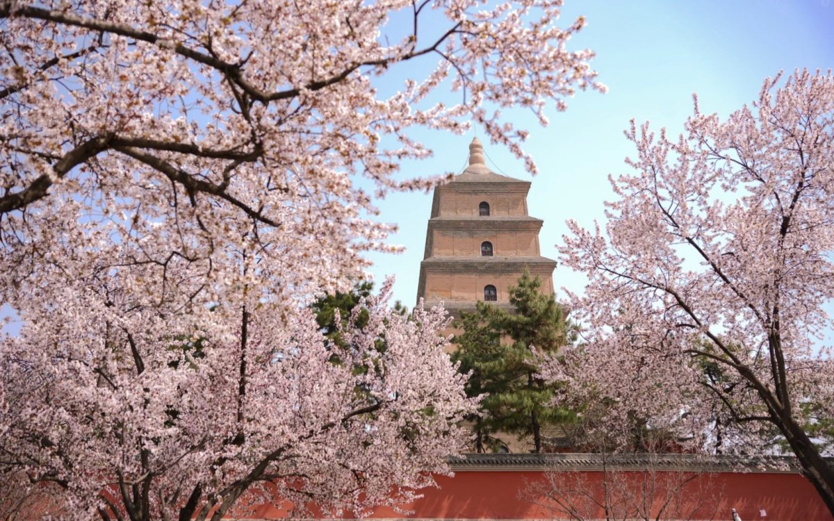 the Big Wild Goose Pagoda