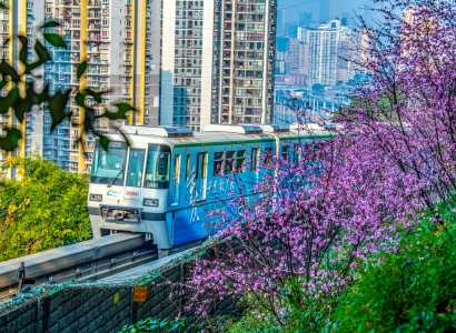 Chongqing in Spring