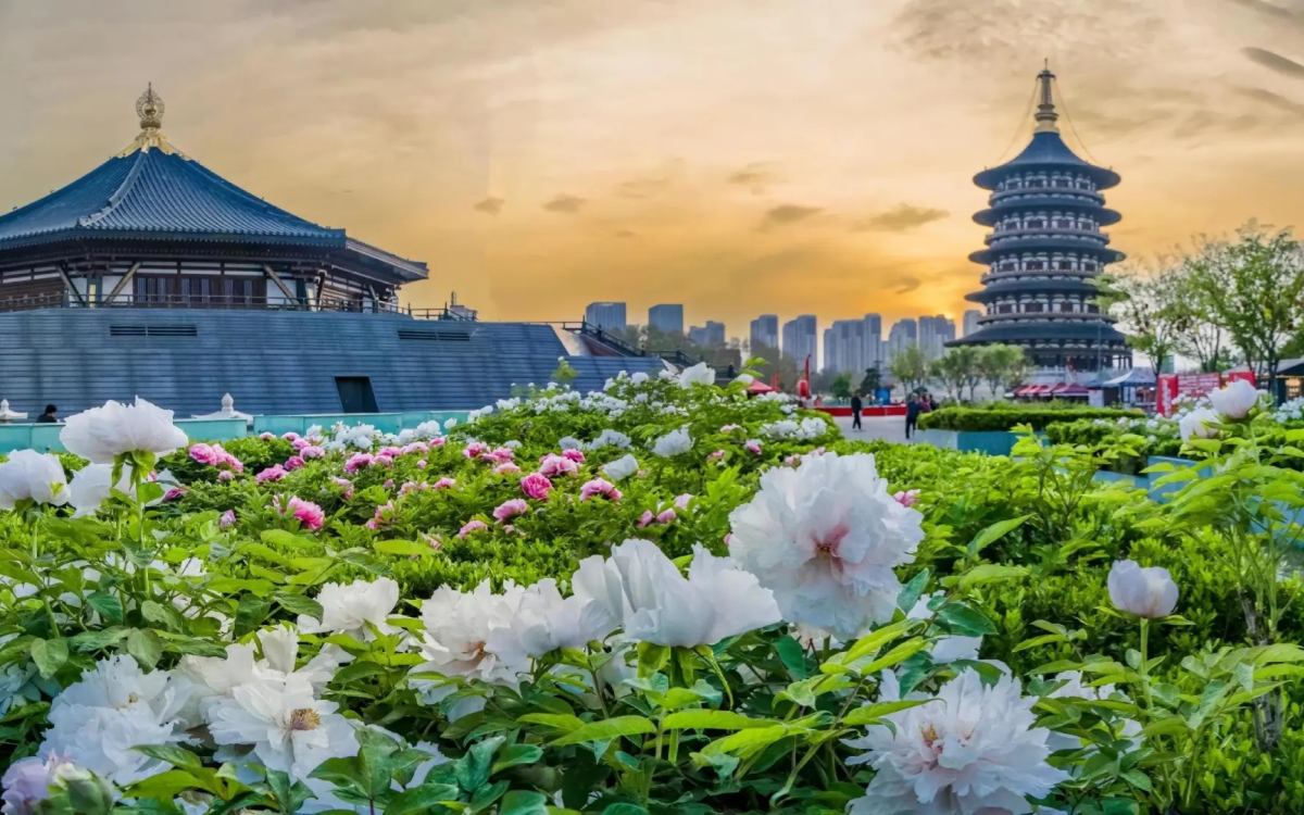 Luoyang Food Travel Guide