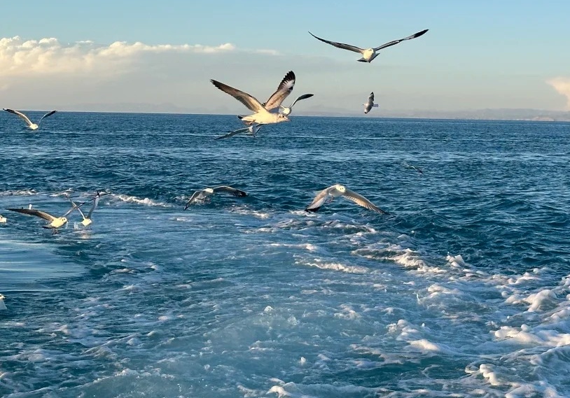Qinghai Lake