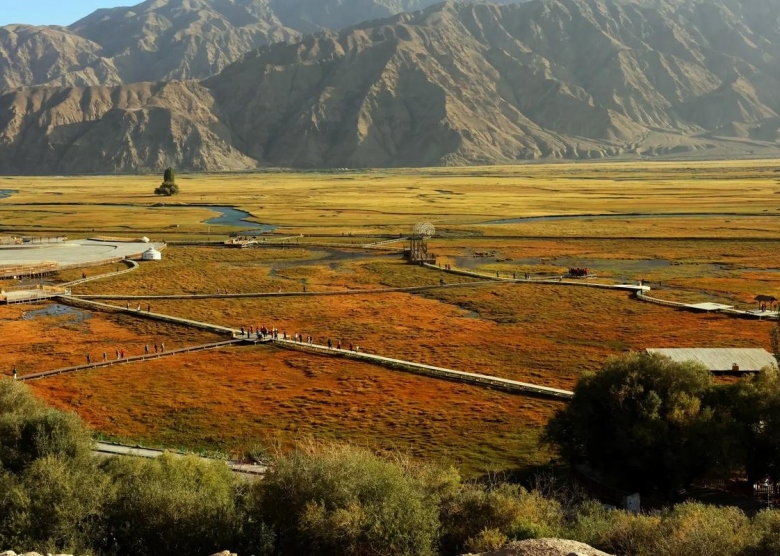Aral's Golden Grassland
