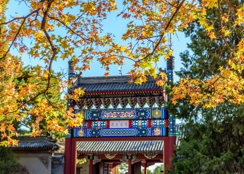 Autumn in Xian
