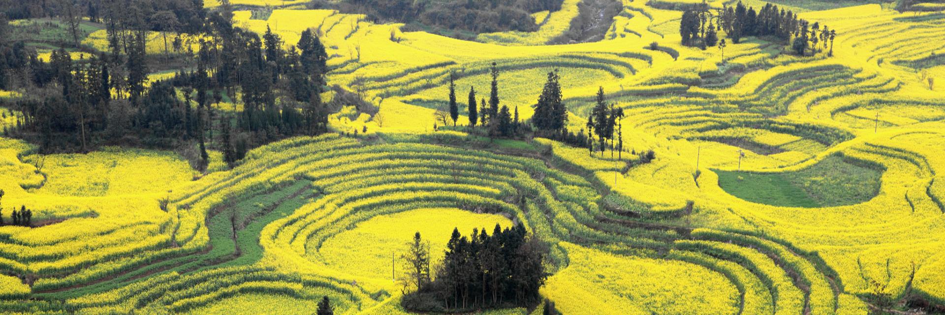 Best Time to Visit Yunnan