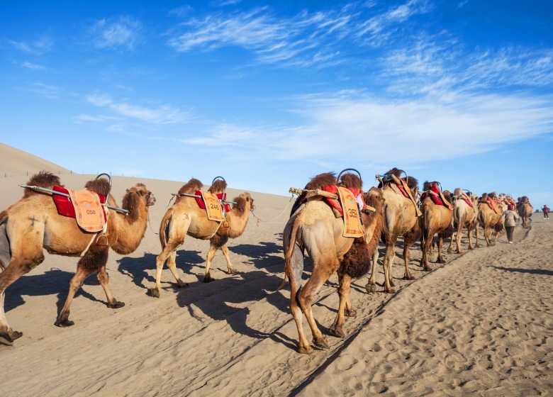 China Silk Road Travel