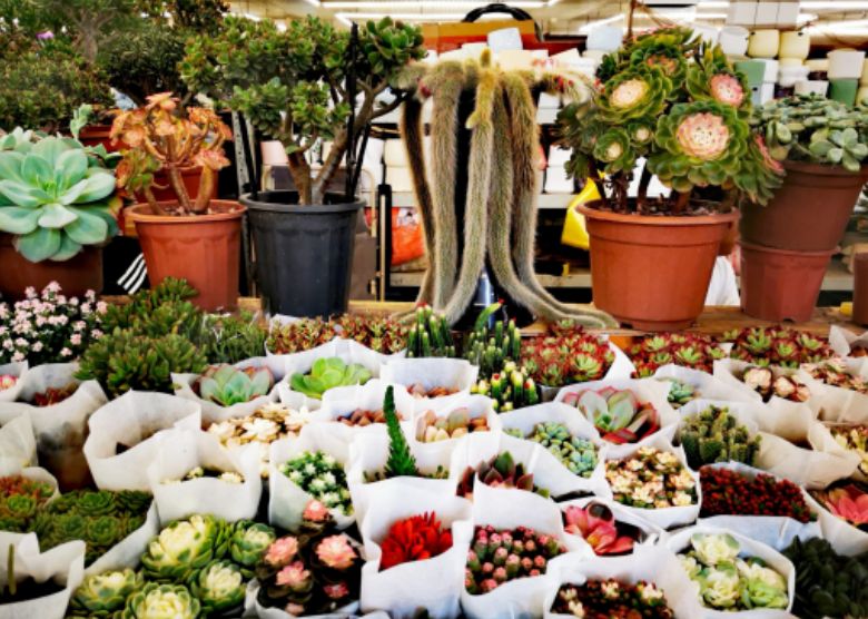 Dounan Flower Market