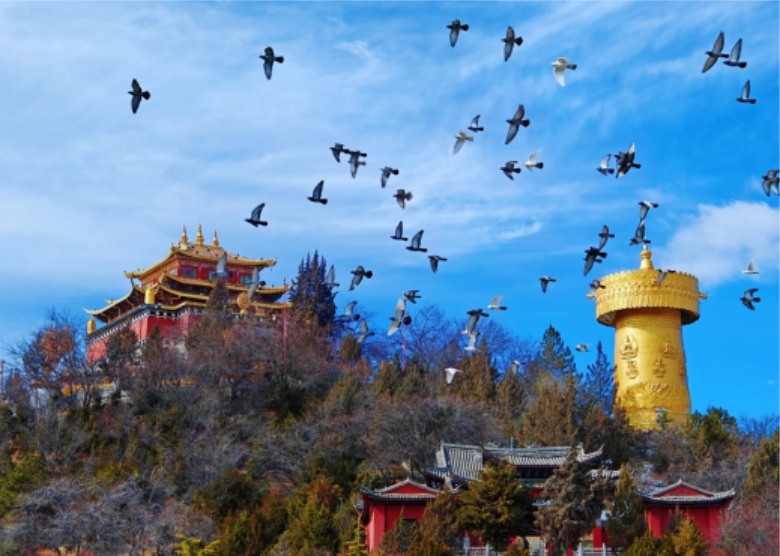 Dukezong Ancient Town