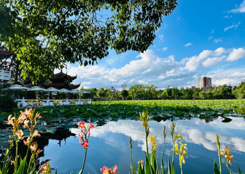 Green Lake Park