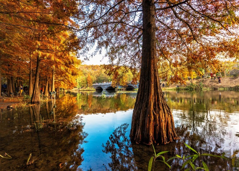 Harbin in Autumn