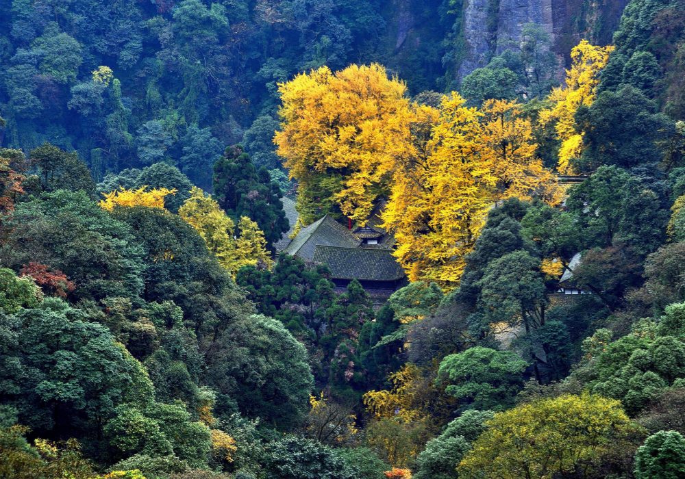Mount Qingcheng in Autumn