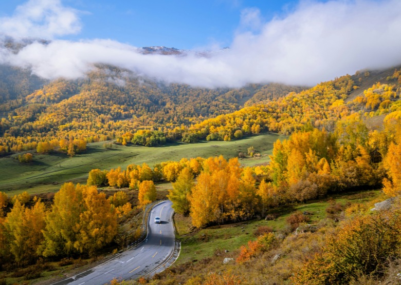 Northern Xinjiang Scenic Tour