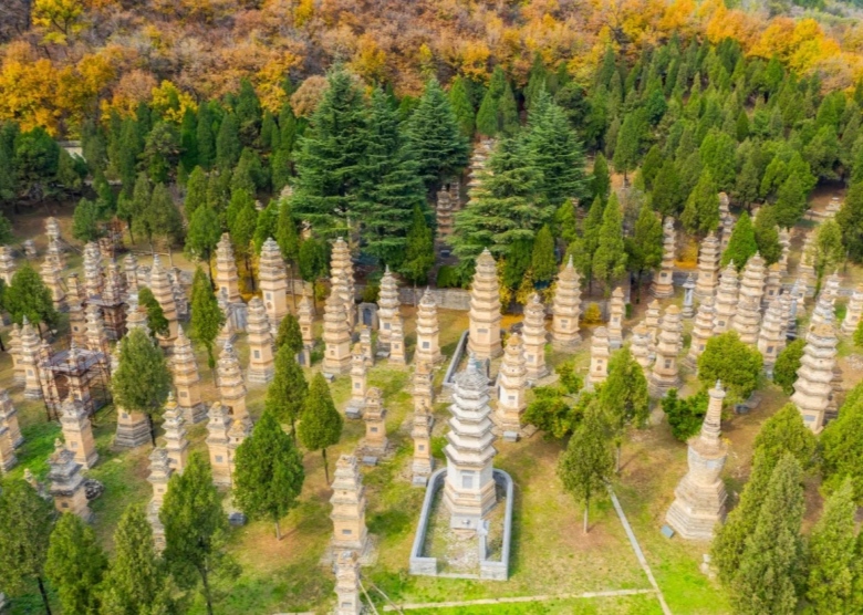 Pagoda Forest