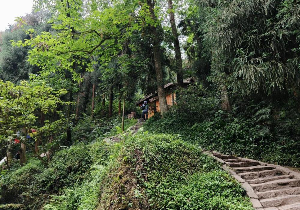 Qingcheng Back Mountain