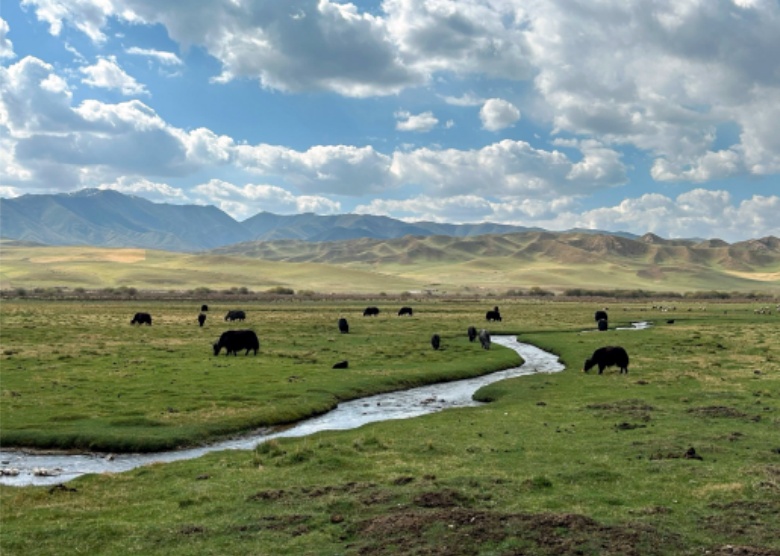Sangke Grassland