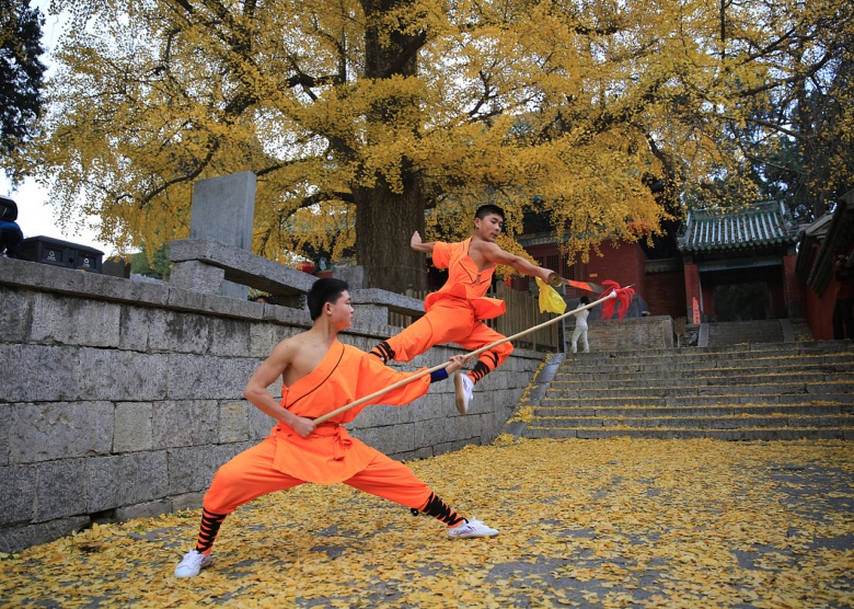 Shaolin Kung Fu