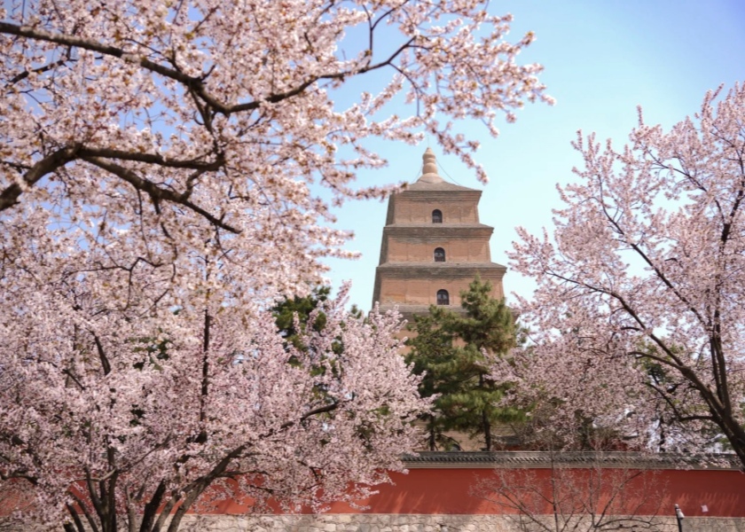 Spring in Xian