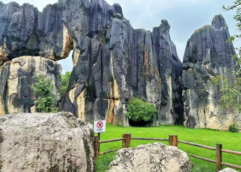 Stone Forest