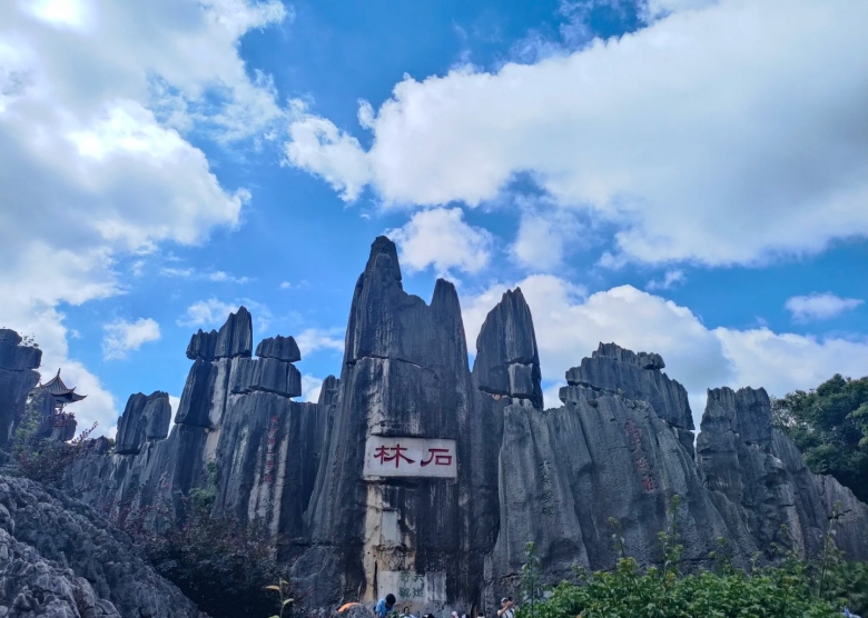 Stone Forest