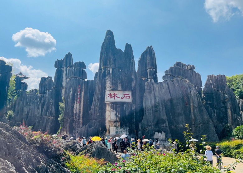 Stone Forest