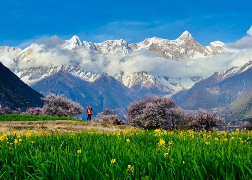 Tibet in Spring