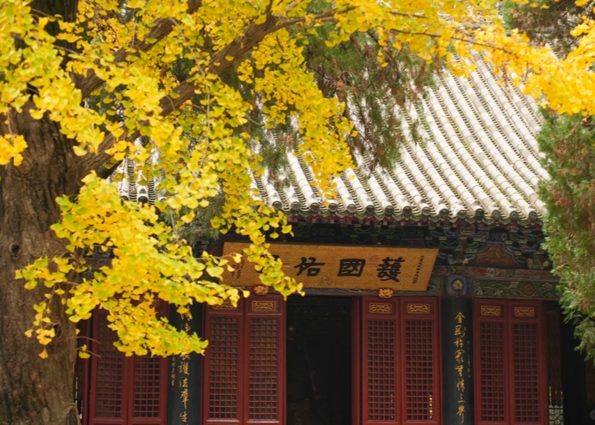 White Horse Temple in autumn