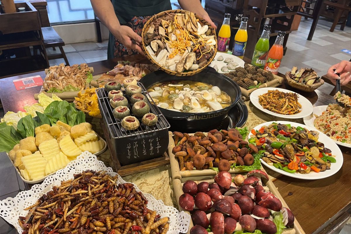 Wild Mushroom Hotpot