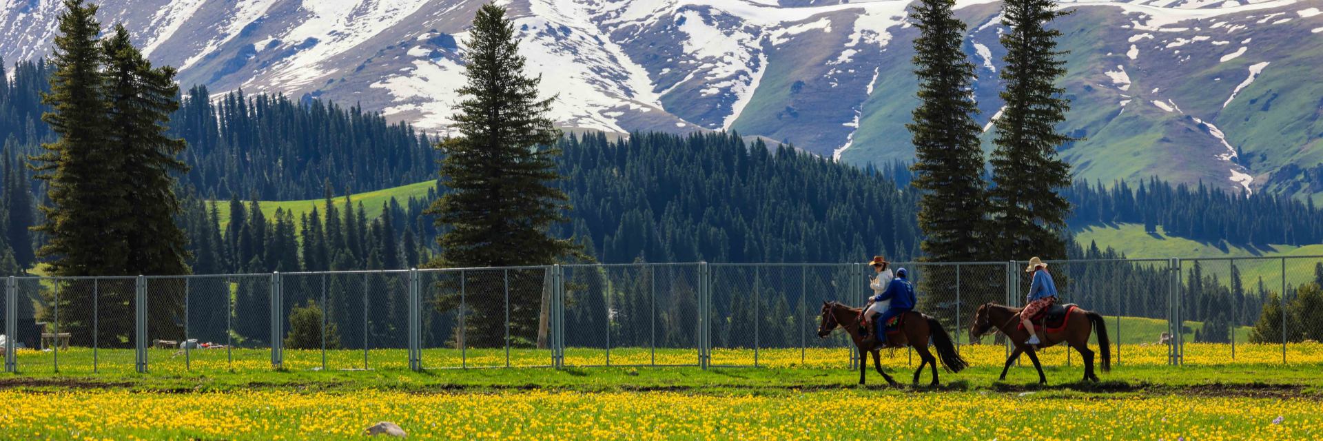 Xinjiang Tours