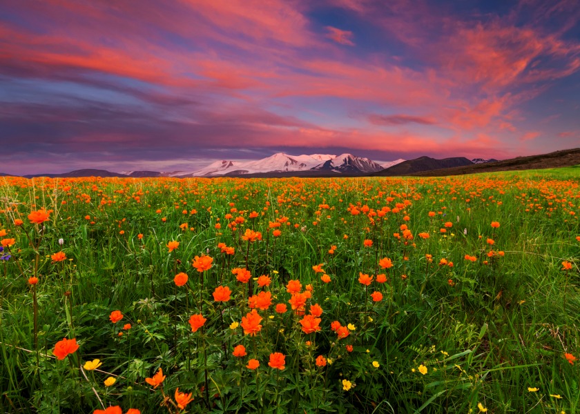 Xinjiang in Spring