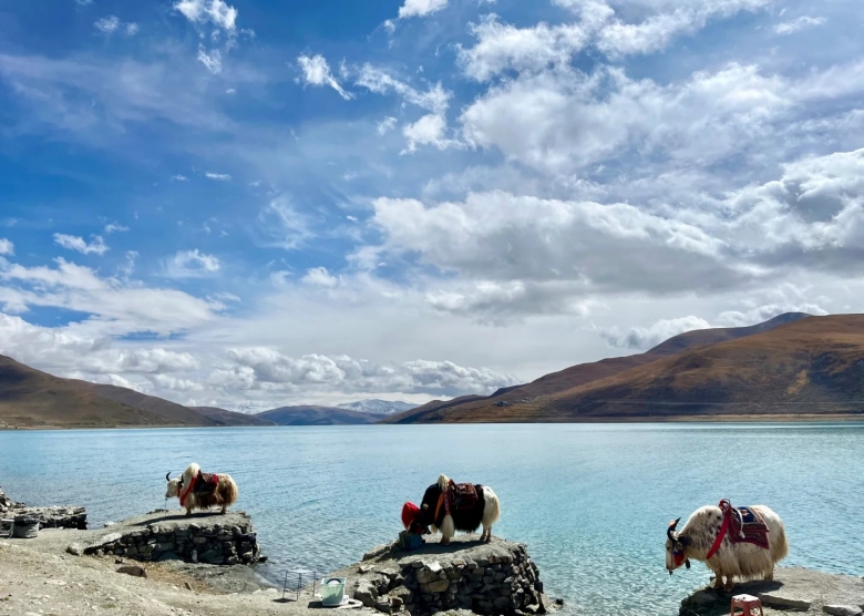 Yamdrok Lake