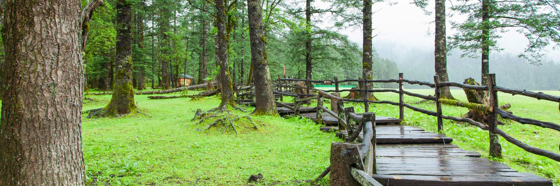 Yunnan Travel Must-knows