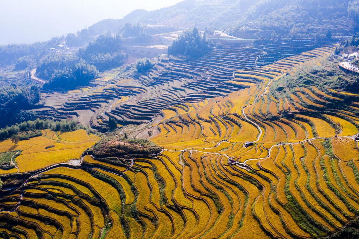 Yunnan in Autumn
