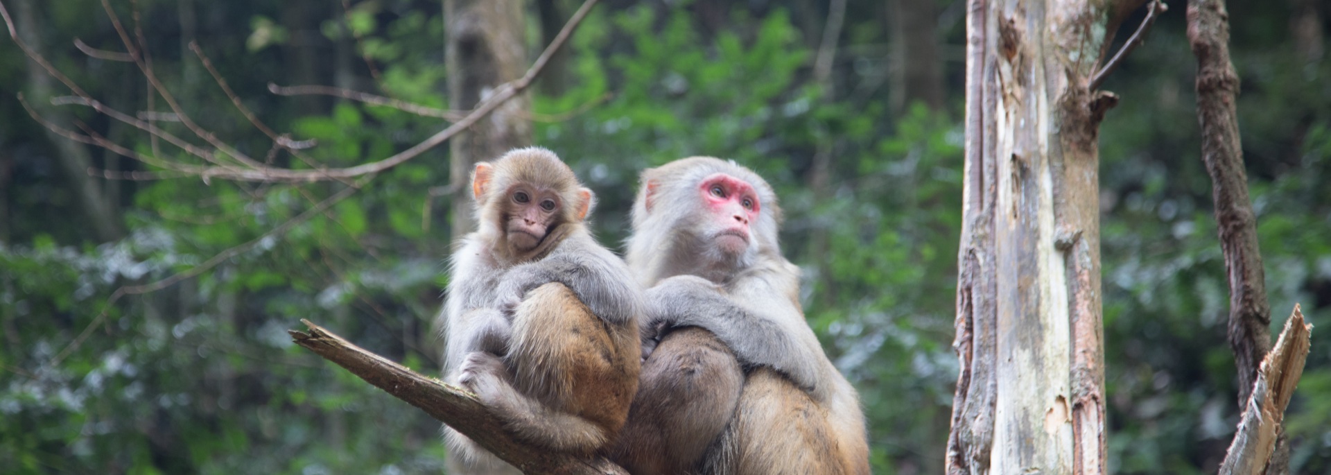Zhangjiajie Tours