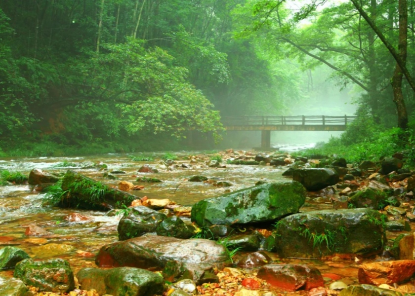 Zhangjiajie in summer