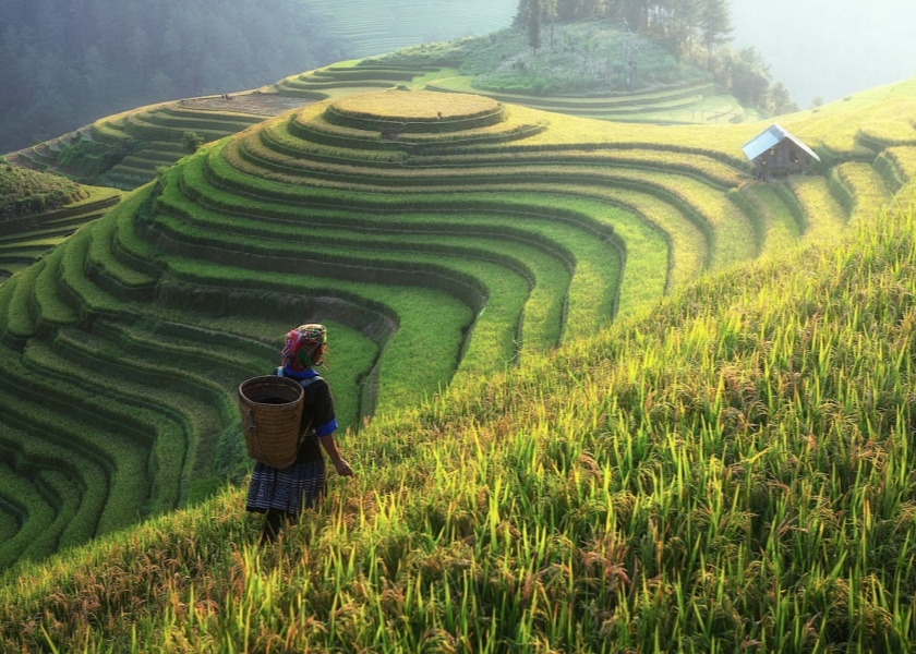 Guilin Longji Terraces