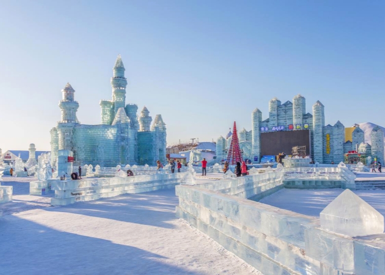 ice and snow world