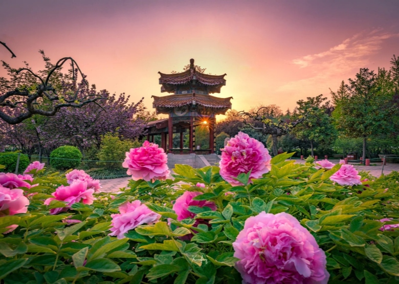 luoyang