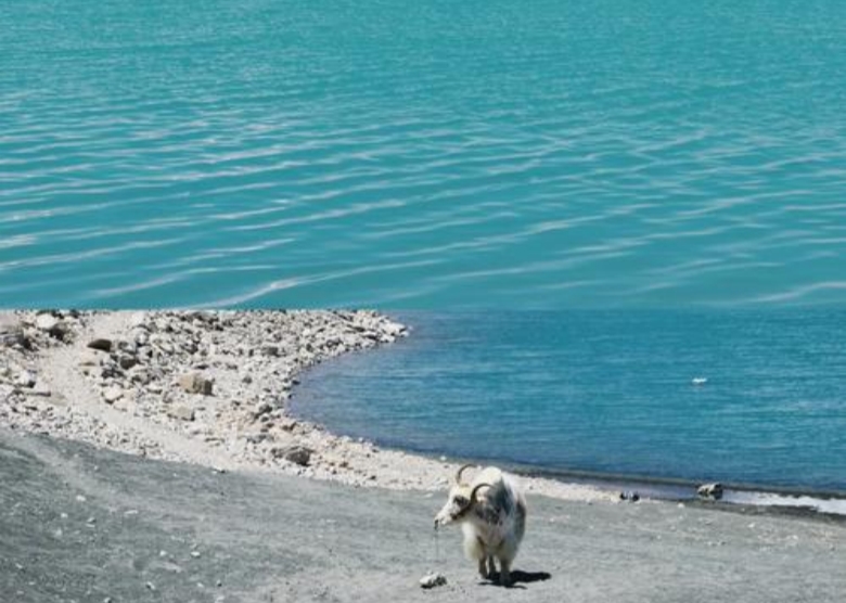 white sand lake