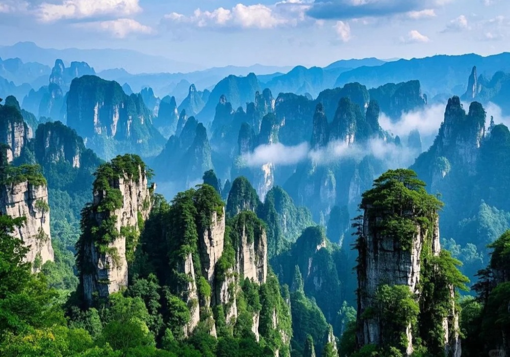A serene spring morning of Zhangjiajie National Forest Park