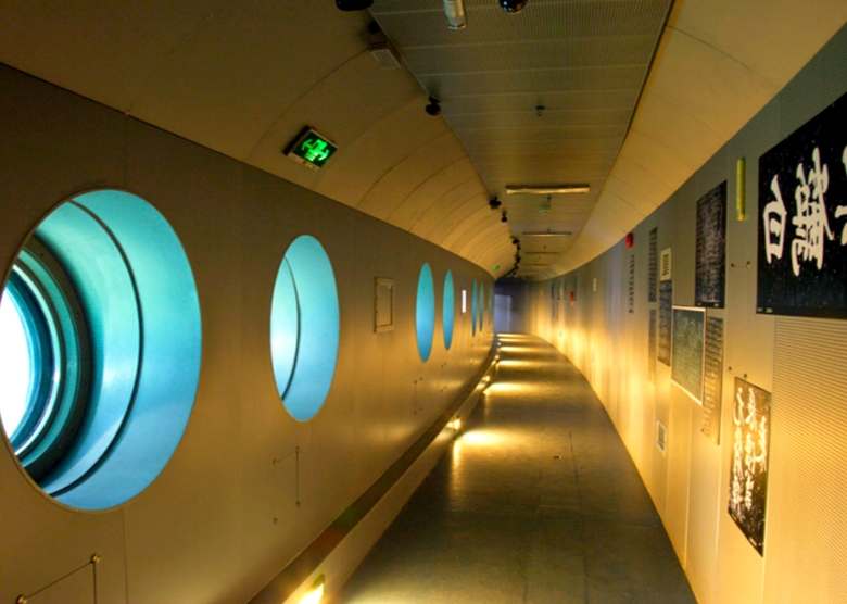 Baiheliang Underwater Museum