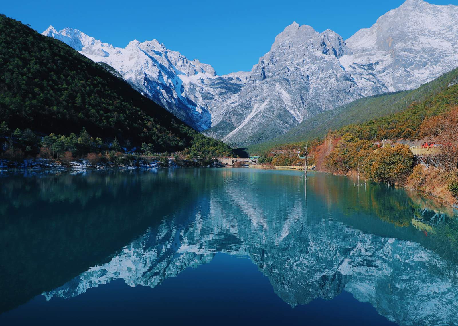 Blue Moon Valley